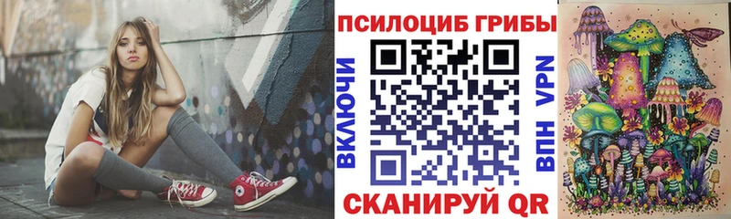 Галлюциногенные грибы Psilocybe  Алексин 
